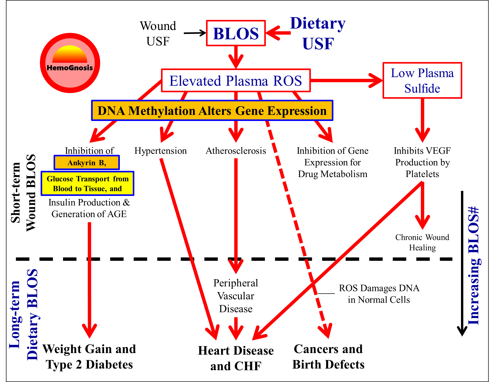Updated BLOS Model